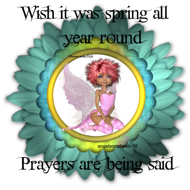 Wish it could be Spring all year round Prayers are being said