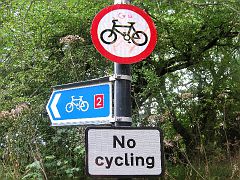 Cycling or No cycling?