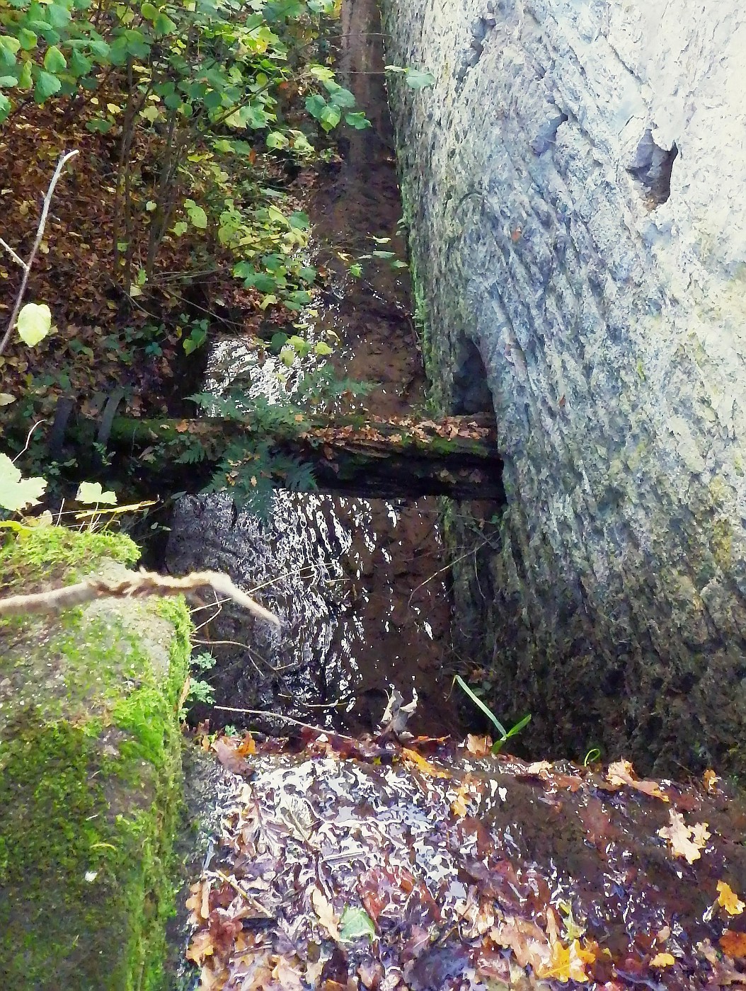 Reste der Wassermühle