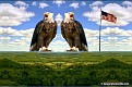 Two Eagles on the Mountain Corrected